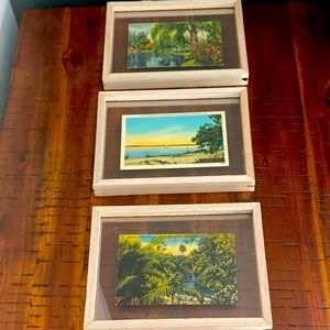 Set of 3 Florida Vintage Postcard Art in Frames Unique Bohemian Costal P…